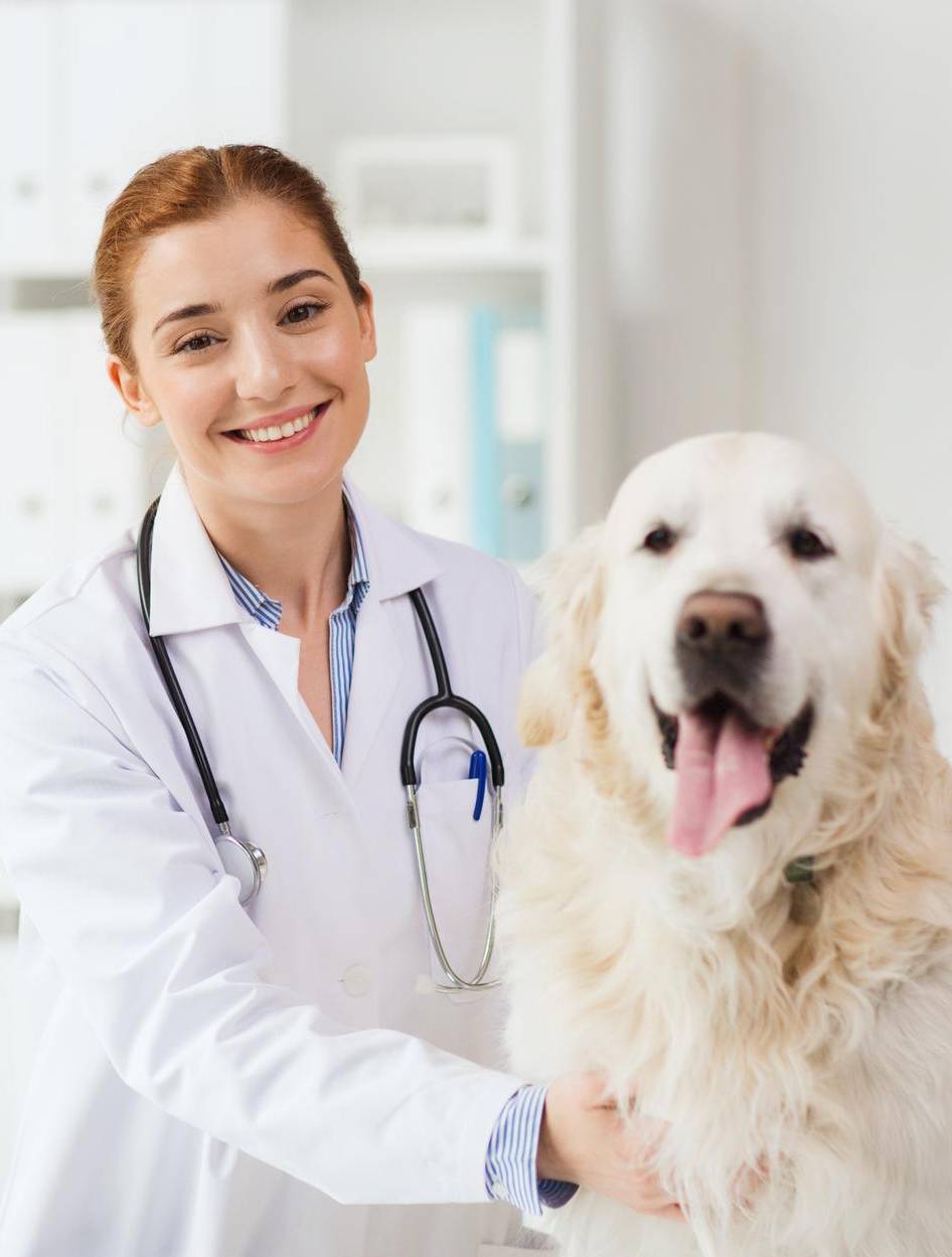Servizi-Medicina-Interna